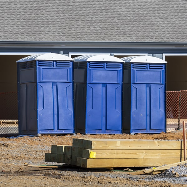 how can i report damages or issues with the portable toilets during my rental period in Reinholds